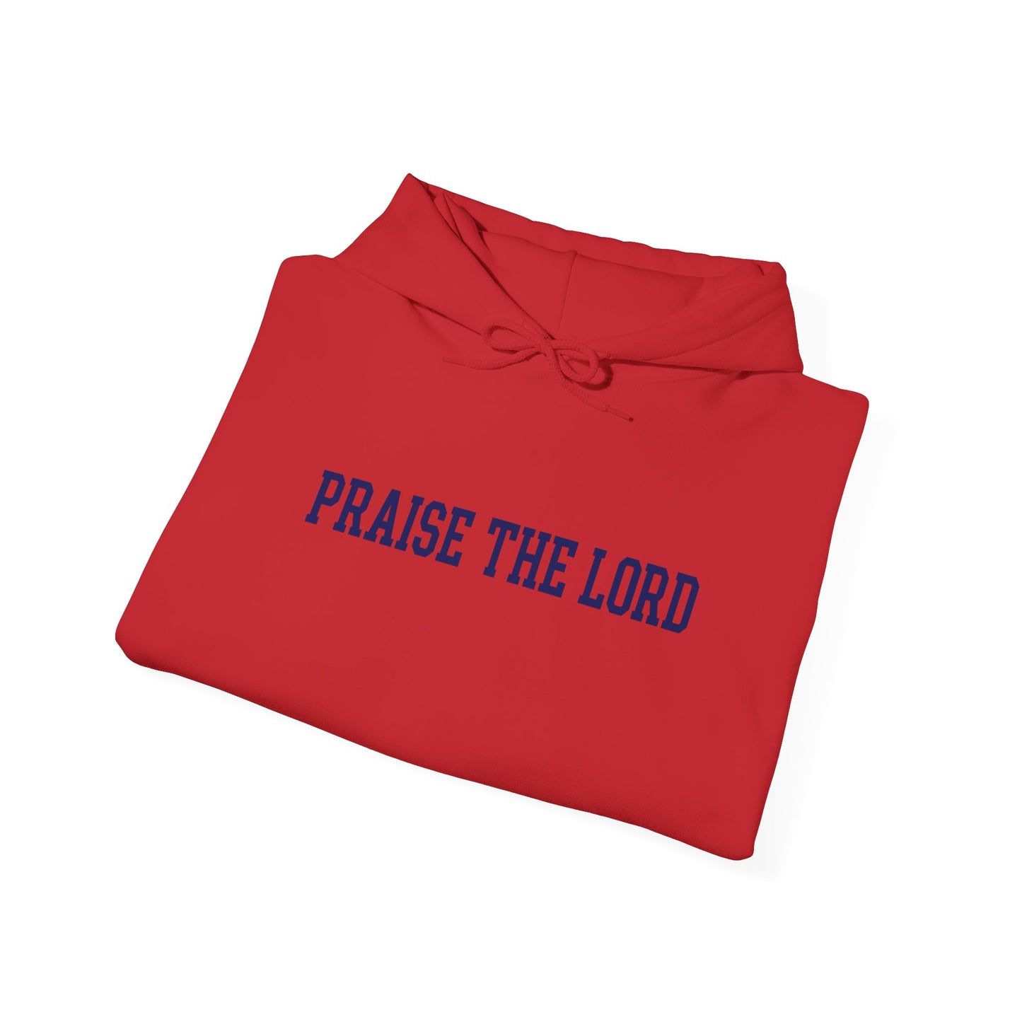 Praise The Lord Hoodie — Christian Faith Graphic Hoodie, Scripture Gift