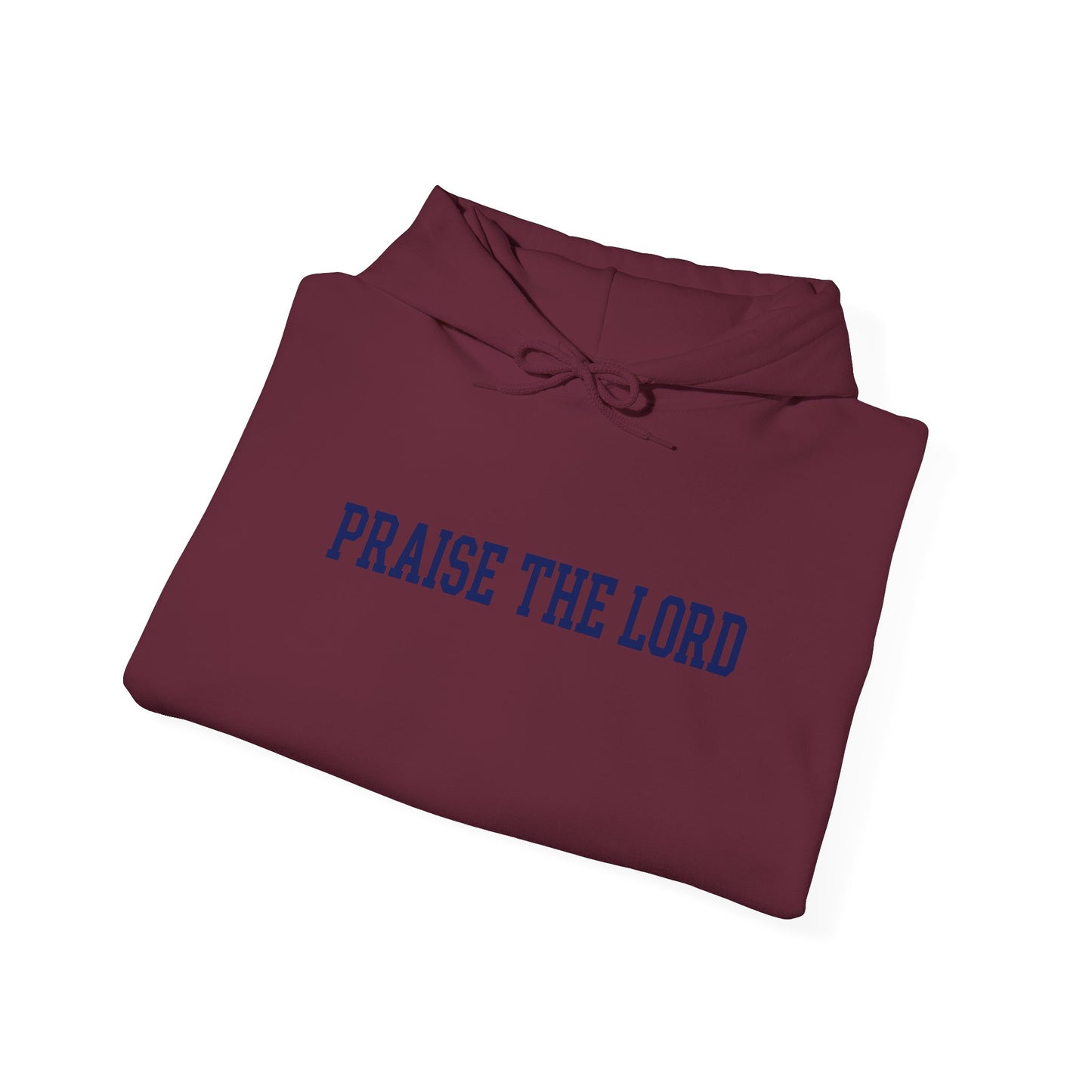 Praise The Lord Hoodie — Christian Faith Graphic Hoodie, Scripture Gift