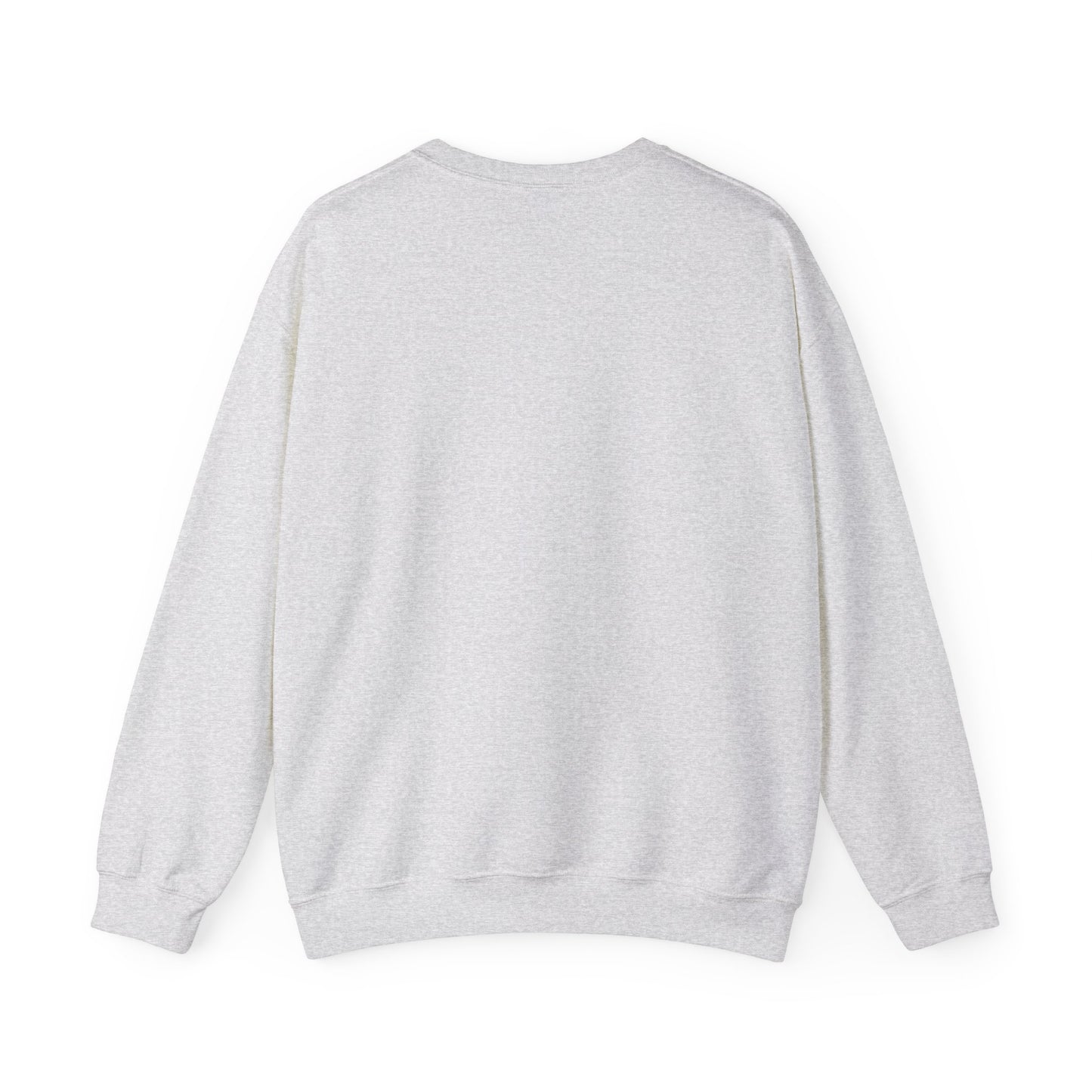 Bikini Line Graphic Crew Neck – Pink Swimsuit Clothesline Sweatshirt