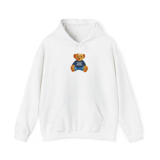 Teddy Bear Graphic Hoodie — Cute Bear Wearing 'UWF NURSING' Sweater