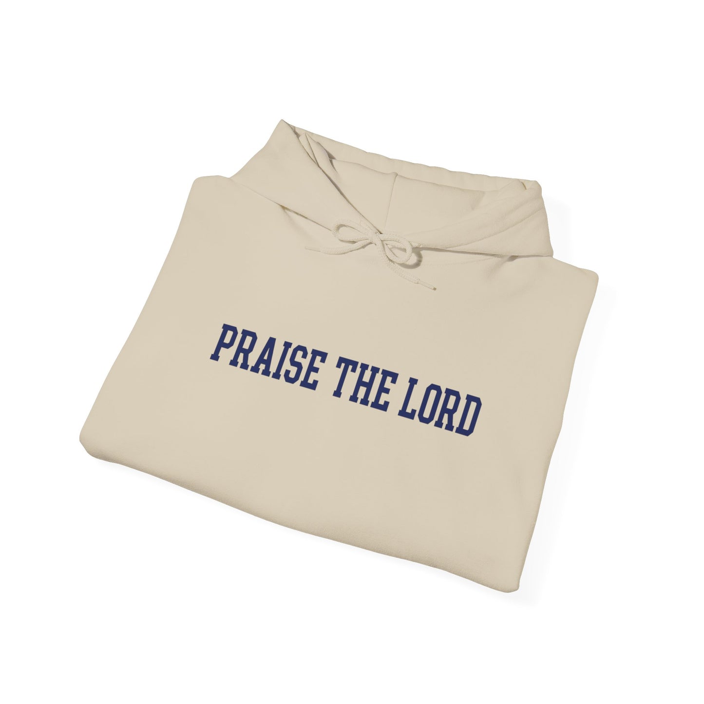Praise The Lord Hoodie — Christian Faith Graphic Hoodie, Scripture Gift