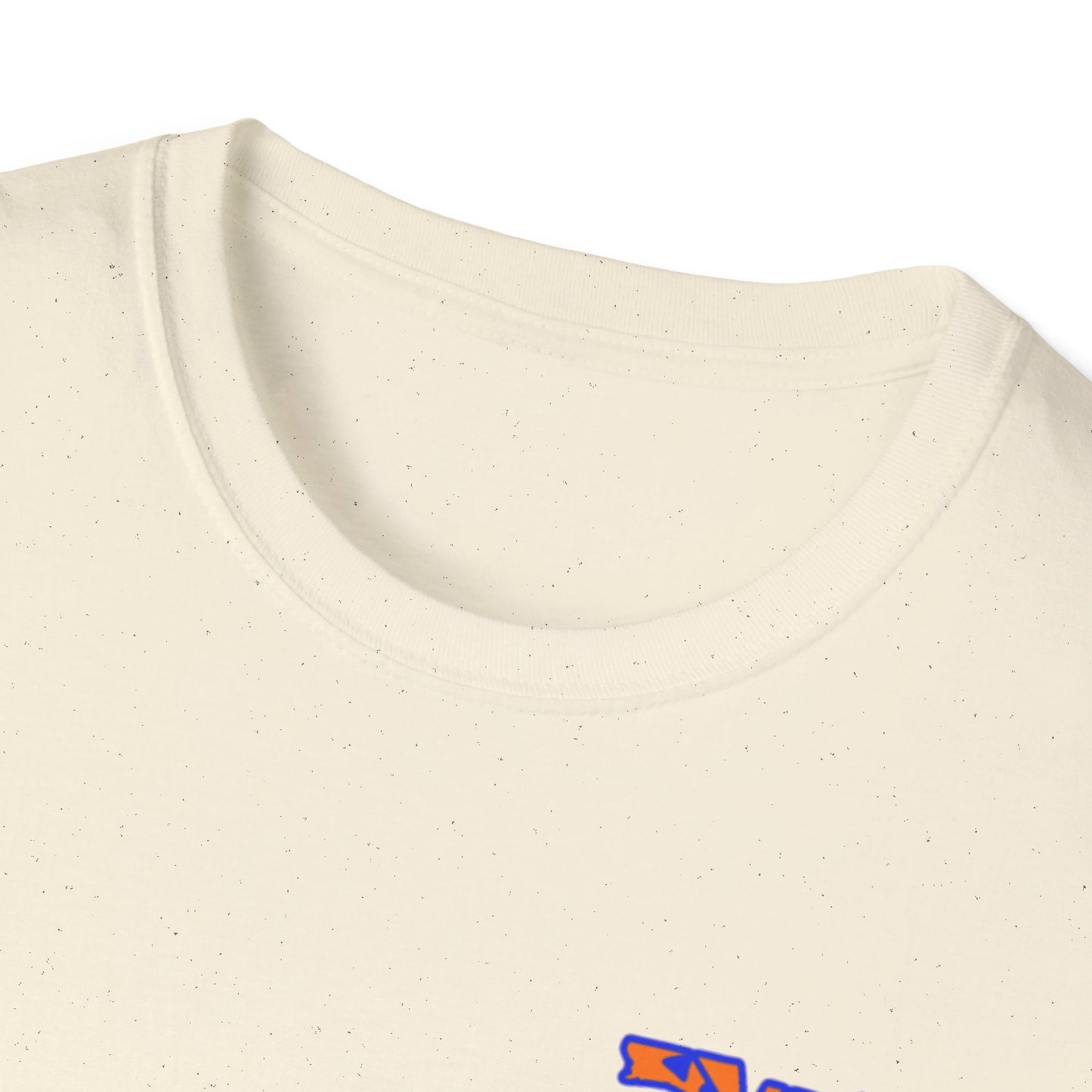 Florida State Outline T-Shirt — Orange & Blue 'Florida' Graphic Tee