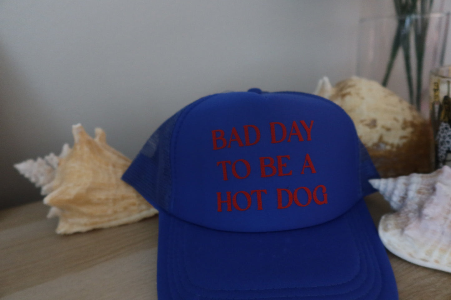 BAD DAY TO BE A HOT DOG TRUCKER HAT