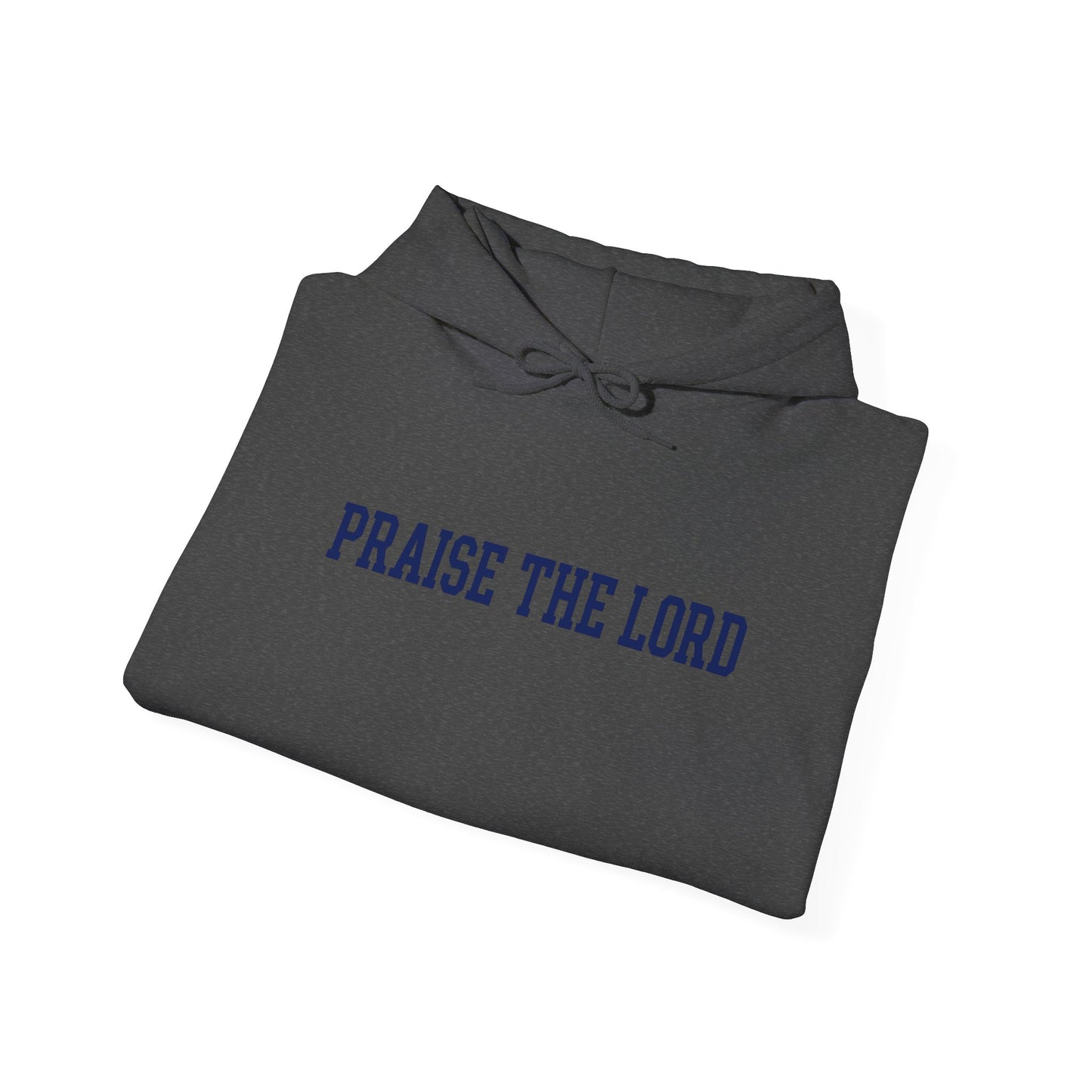 Praise The Lord Hoodie — Christian Faith Graphic Hoodie, Scripture Gift