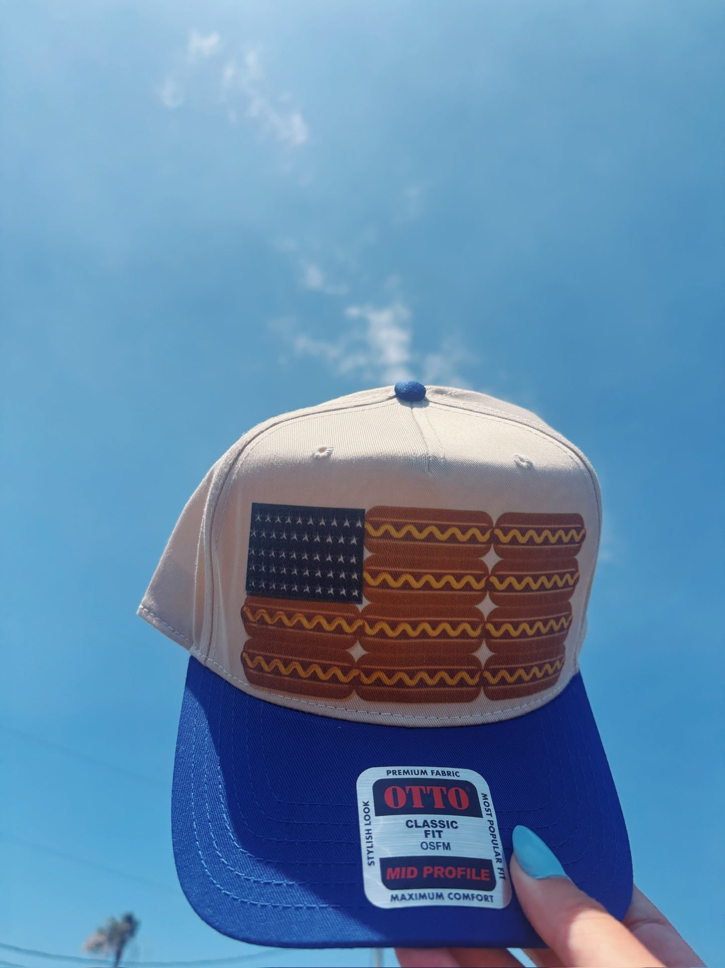 USA HOTDOG HAT