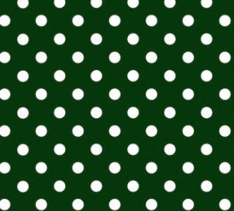 Green and white polka claw clip PREORDER