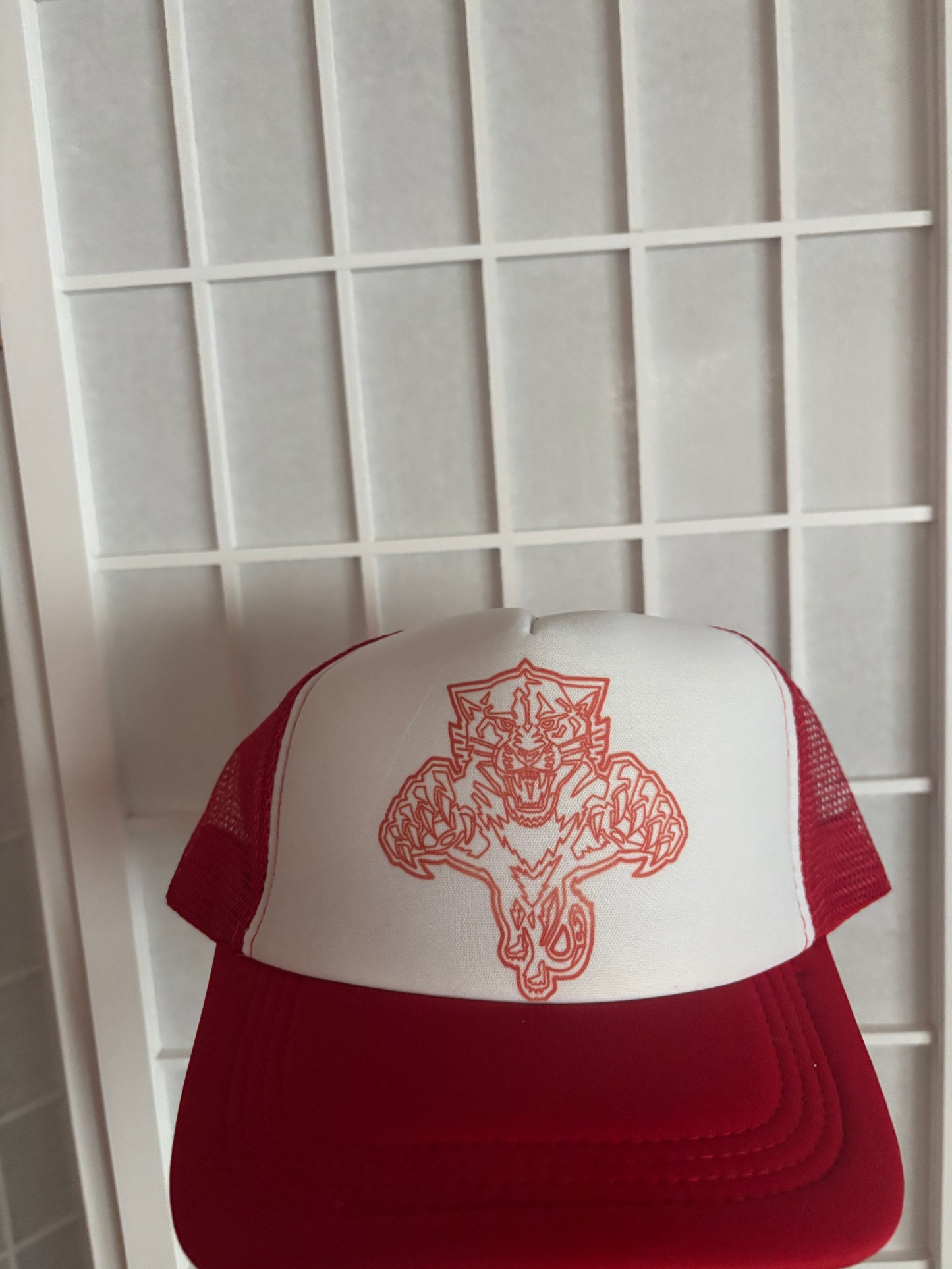 PANTHERS TRUCKER HAT